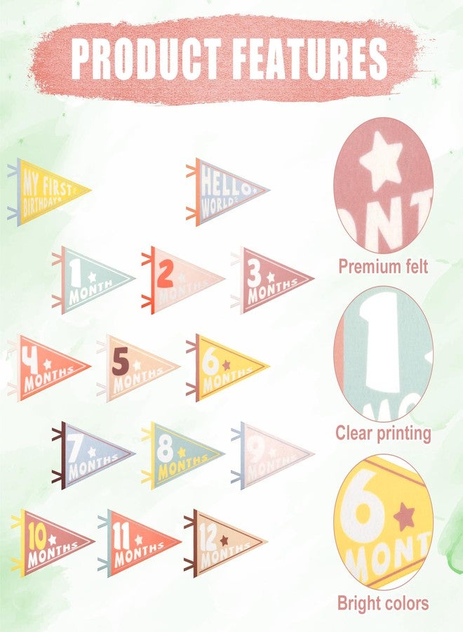 PEUTIER 14pcs Baby Milestone Flags, Felt Monthly Milestone Pennant Flag Colorful Baby Milestone Signs for Newborn Baby Shower 1st Birthday Party Decorations (Pattern 1) - Image 4